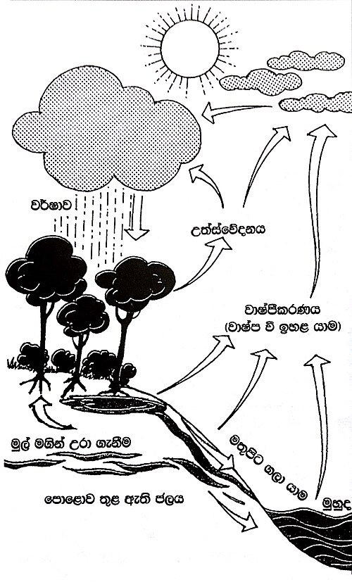 Water cycle