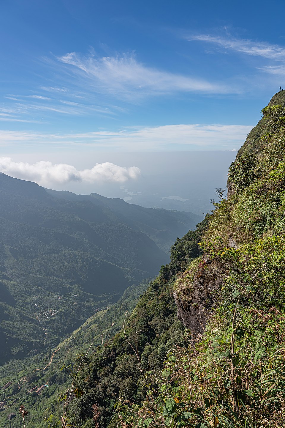 හෝර්ටන් තැන්න