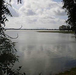 කලා වැවේ දර්ශනයක්