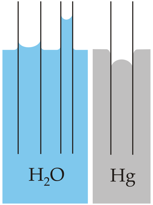 Capillary action
