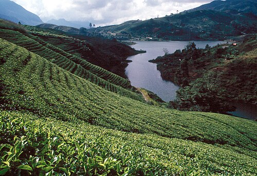 නුවර එළිය